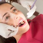 What Services are Typically Provided by a Design-Build Company?